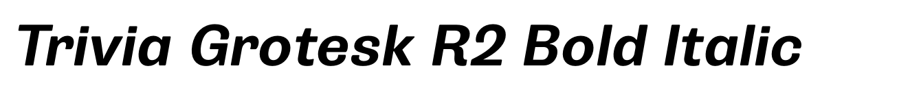 Trivia Grotesk R2 Bold Italic